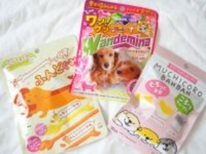 11月1日は犬の日