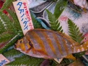 外食より豪華なメインディッシュ5人分で950円…元水産庁職員が考案「フライパンから飛び出る魚の正体」