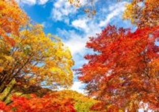 朝食でこれを食べない人は損してる…秋の「なんとなく不調」に医師が勧める"幸せホルモン"の分泌を助ける食材