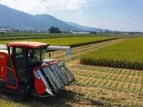 JAでも卸売業者のせいでもない「コメ価格高騰」の真犯人が判明…現役農家が明かした「コメが消えた本当の理由」