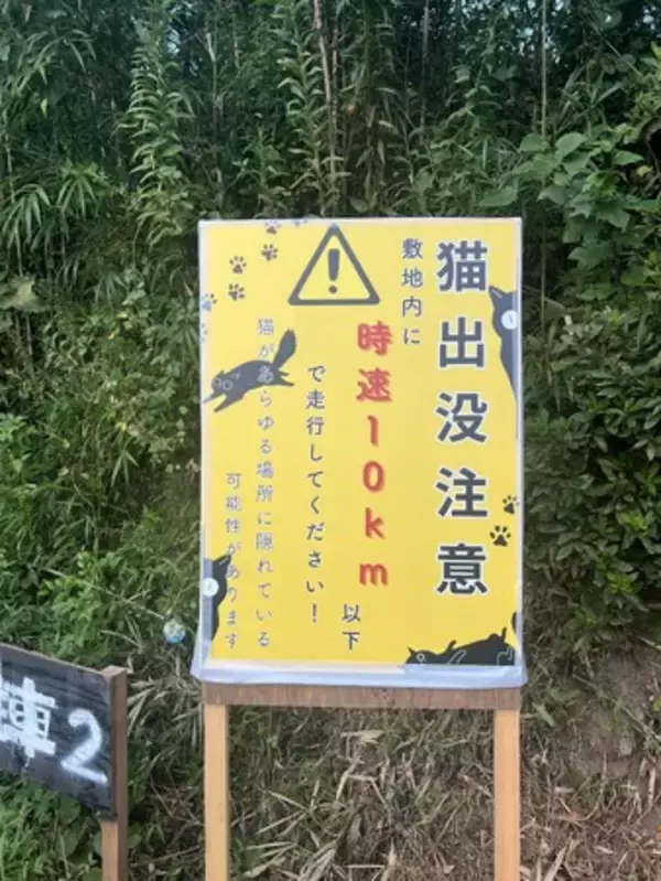 『猫出没注意』警報発令中~ご注意ください!