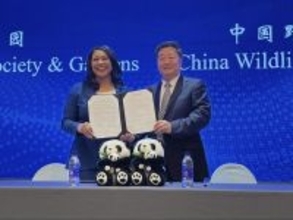 中国野生動物保護協会、2025年のジャイアントパンダの渡米に向けて準備中