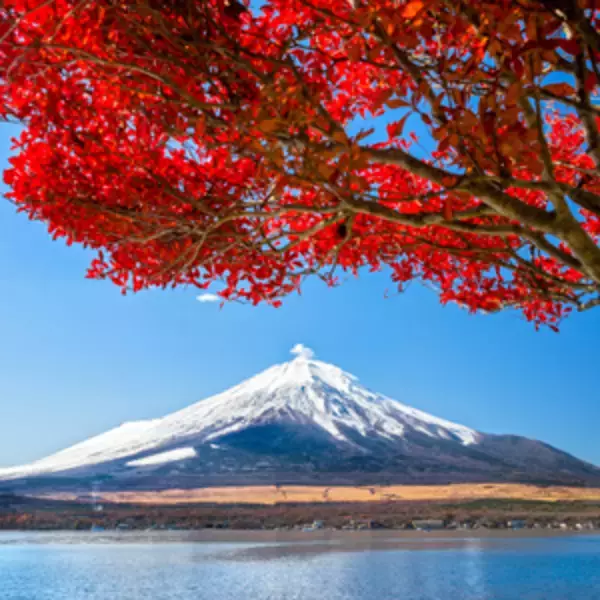 日本人が秋の紅葉を愛でるのは「危機感や悲壮感」を持つ民族だから＝中国報道