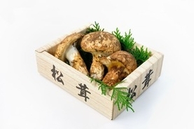 日本人が「神のキノコ」と崇めるマツタケ、中国でポピュラーな食べ方は＝中国メディア　