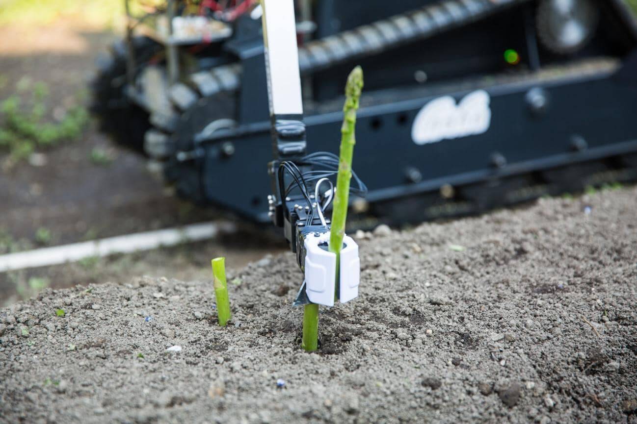 大企業でも作れなかった自動野菜収穫ロボットをなぜスタートアップが作れたのか