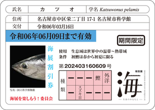 【愛知県名古屋市】「魚の免許証風割引カード」など。特別展「海 ―生命のみなもと―」オリジナルグッズ