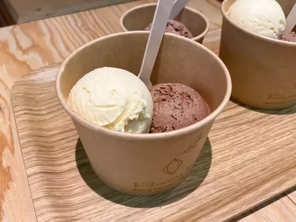 「スイーツ好きが注目!無添加チョコレートのお店『ハミングバード』(富山)の自家製アイスクリーム」の画像