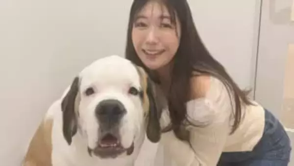【 穂川果音 】「大きなわんちゃん」大型犬たちと癒やしのひととき フォロワー “犬の方が癒されてる”