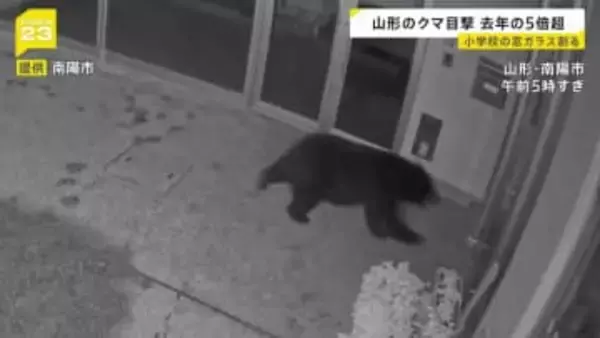 早朝の学校にクマ!カメラが捉えた侵入の一部始終 深刻化するクマ被害に「連絡会議」→「閣僚会議」に格上げ 30日に対応協議へ【news23】