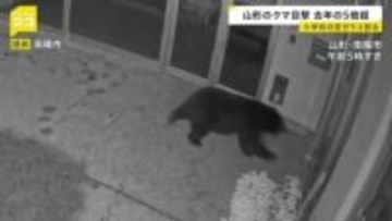 早朝の学校にクマ!カメラが捉えた侵入の一部始終 深刻化するクマ被害に「連絡会議」→「閣僚会議」に格上げ 30日に対応協議へ【news23】