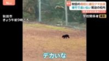 秋田2日連続クマが高校に出没 校内では爆竹で追い払いも
