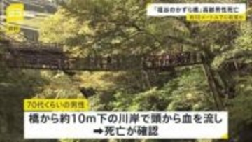 「人が倒れている。反応しない」 観光名所『祖谷のかずら橋』から高齢男性が転落し死亡 観光に来て誤って転落か 徳島・三好市