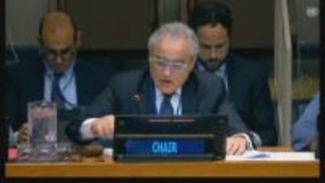 国連総会委員会で日本が提出の核兵器廃絶決議案採択 32年連続