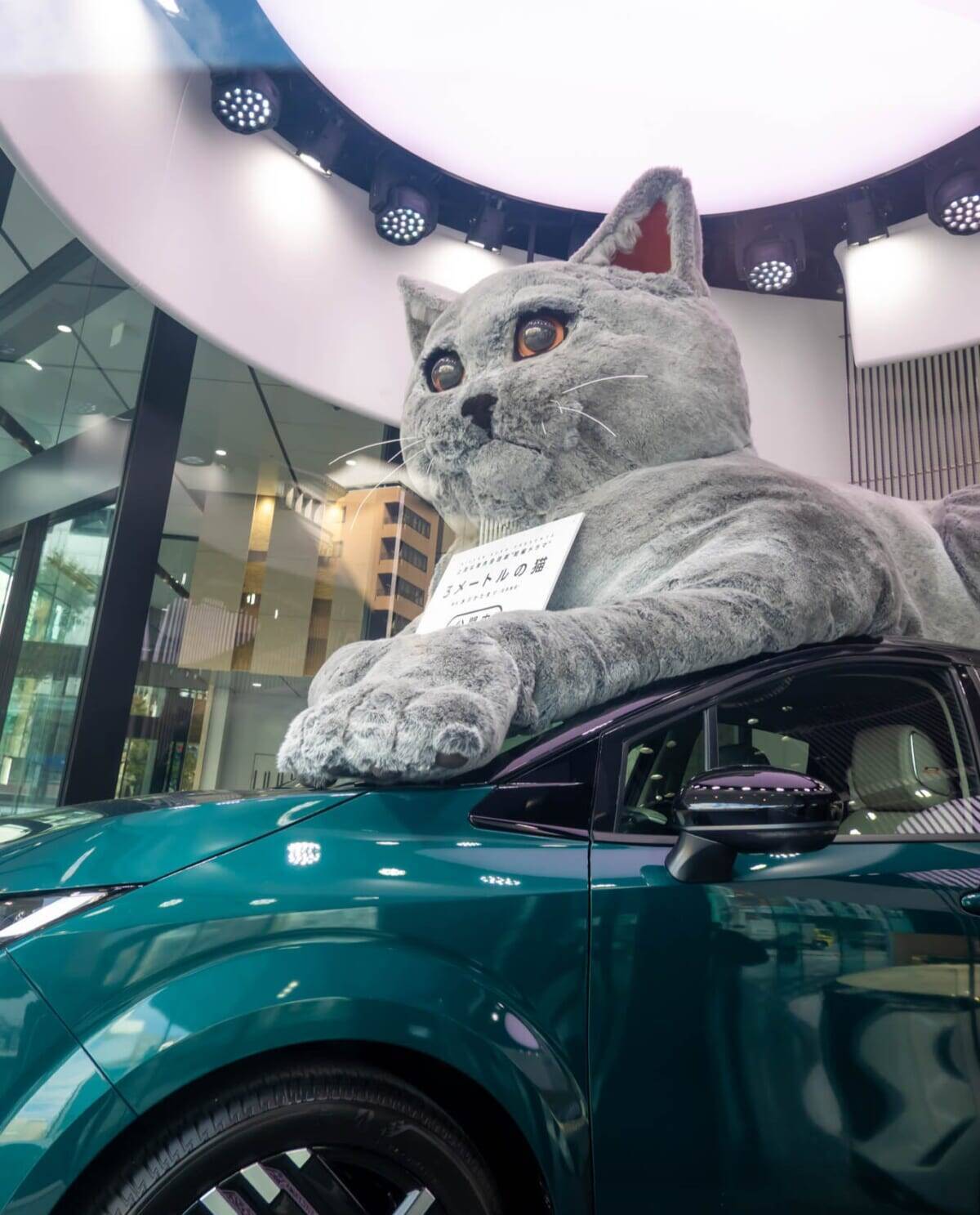 銀座一等地に3メートルの巨大猫が出現!?お笑い芸人・水川かたまりが手がけた日産の短編ドラマが現実に!