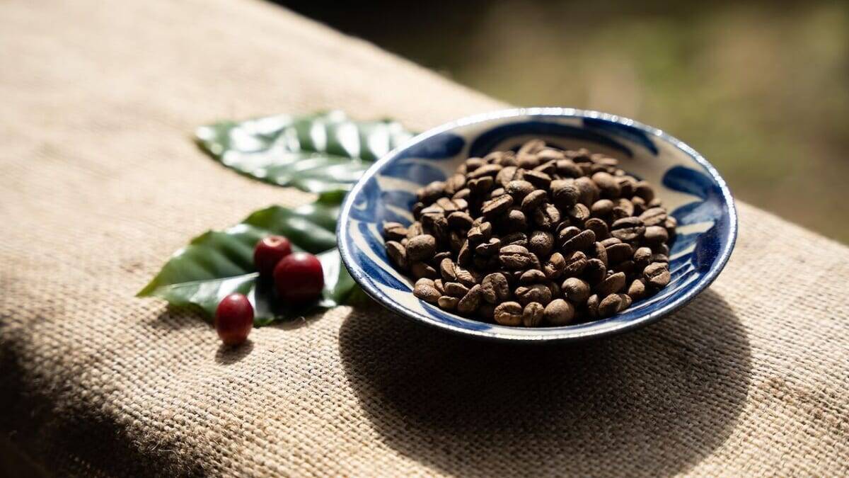 希少な沖縄産のコーヒーに魅せられる!ネスカフェ 原宿で貴重なコーヒー焙煎体験に挑戦