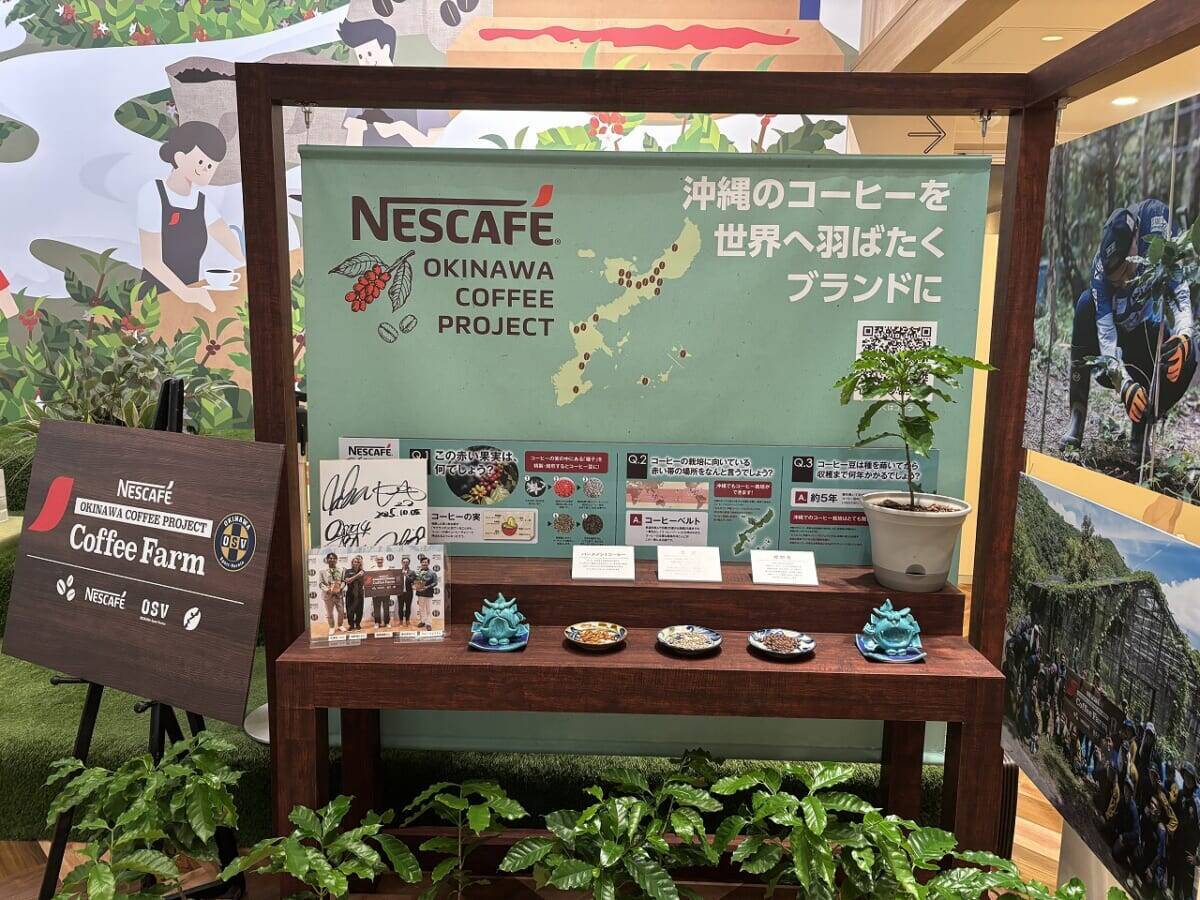 希少な沖縄産のコーヒーに魅せられる!ネスカフェ 原宿で貴重なコーヒー焙煎体験に挑戦