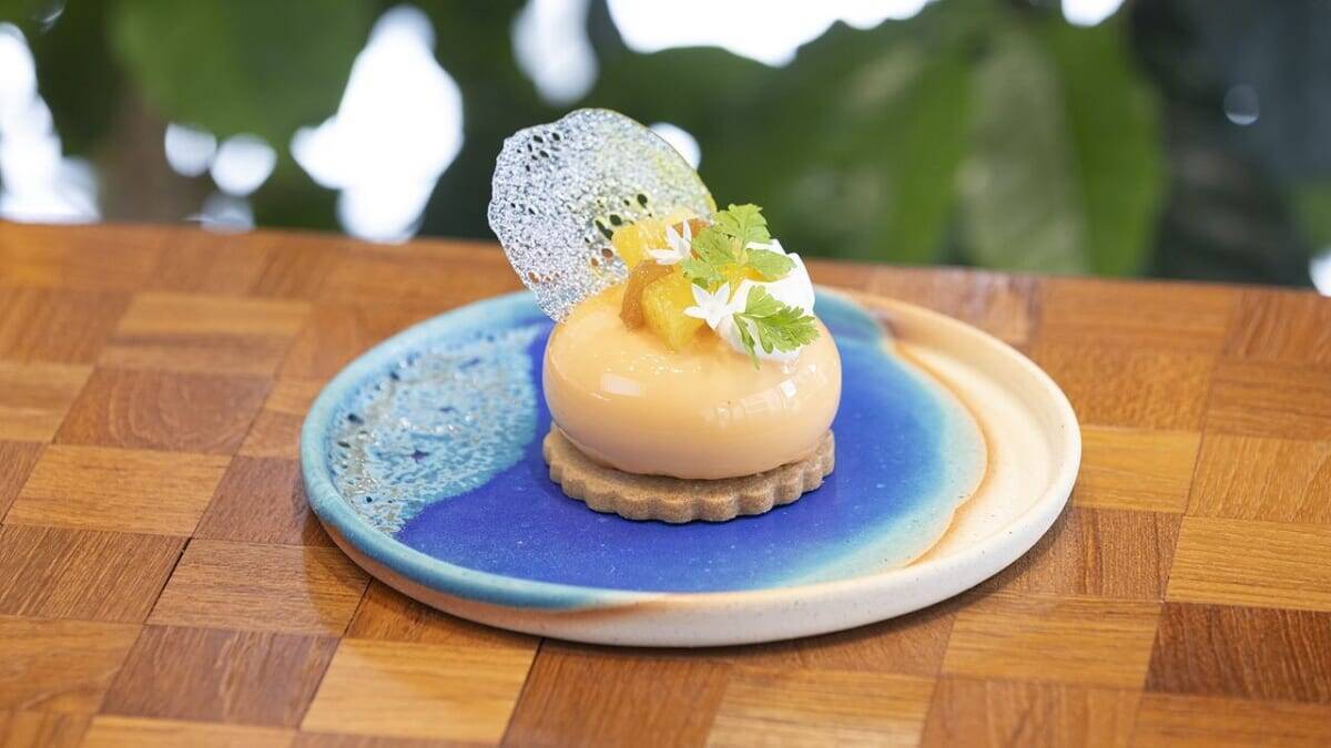 希少な沖縄産のコーヒーに魅せられる!ネスカフェ 原宿で貴重なコーヒー焙煎体験に挑戦