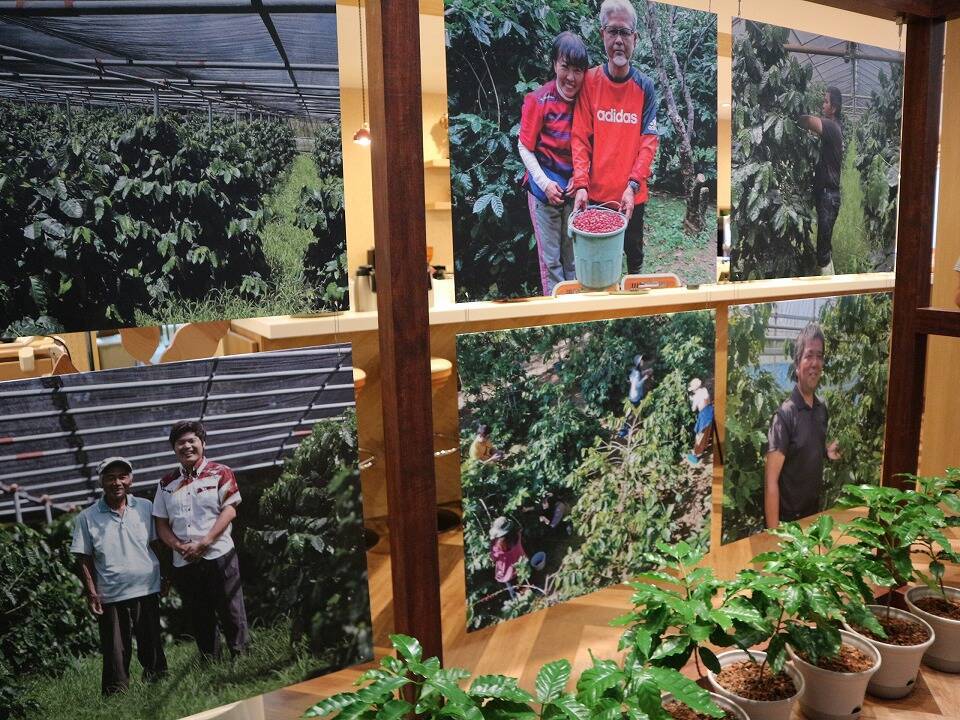 希少な沖縄産のコーヒーに魅せられる!ネスカフェ 原宿で貴重なコーヒー焙煎体験に挑戦