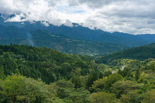 日本の森林率は先進国の中で世界第３位だって知ってた？【日本の不思議】