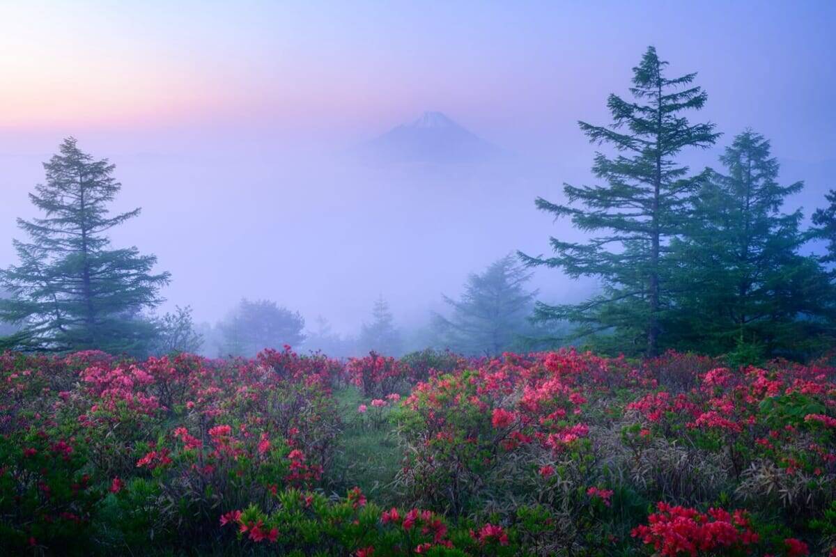 【佐藤友也 Web個展『トワイライト』】この時間だけの空の色|第一回「#旅心フォトコンテスト by TABIZINE」大賞受賞記念