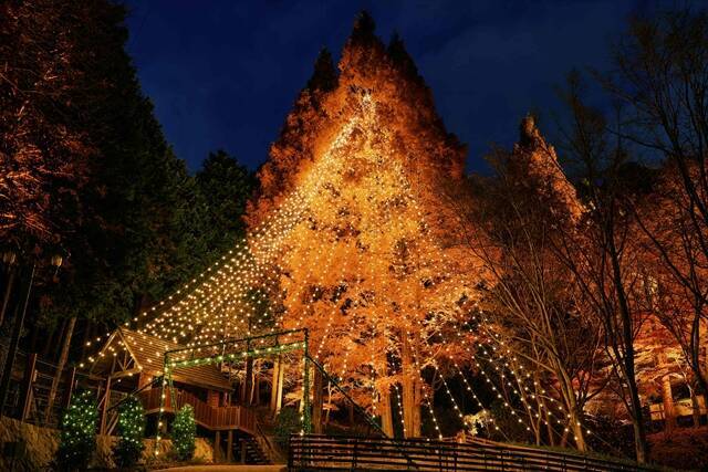 【神戸クリスマスマーケット2025】昼も夜も見どころ満載!グリューワイン片手に楽しむ山上のイルミネーション