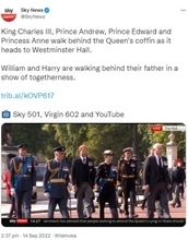 ウィリアム王子とヘンリー王子、女王の葬列で肩を並べて歩く　母ダイアナ妃の葬儀を思い出させる