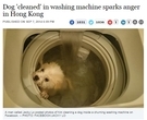 「洗濯機で犬を入浴させたら死んだ」。Facebookの衝撃写真に警察も動く。（香港）