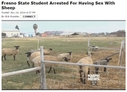 大学で飼育されている羊をレイプ。男子学生、逮捕に呆れた言い訳。（米）