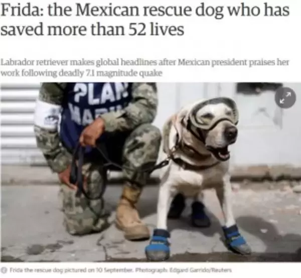 メキシコ地震を含む52人以上の命を救った救助犬に称賛の嵐