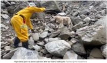 麻薬探知犬になり損ねた犬、災害救助犬として大活躍（台湾）＜動画あり＞