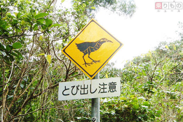 道路標識「動物注意」、そんなものまで飛び出すの？　地域の特色反映、希少種も図柄に