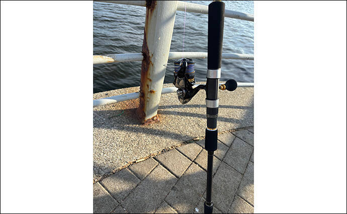 大阪湾奥LSJ釣行で45cm級サゴシ3本手中【泉大津】TGジグのストップ&ゴーで連発