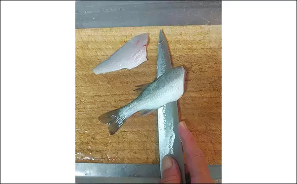 「人気釣魚で作る「刺身アレンジ」レシピ:セイゴの柚子ゴショウ和え 小型がオススメ」の画像