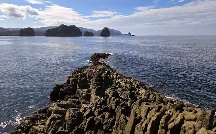 「海の中はまだ夏?」沖磯フカセ釣りでシイラにソーダカツオなど7魚種【西伊豆】