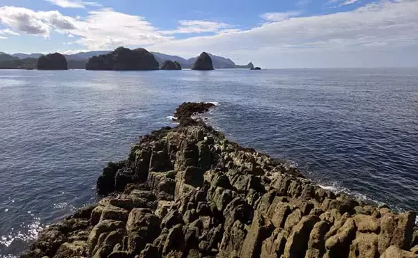 「「海の中はまだ夏?」沖磯フカセ釣りでシイラにソーダカツオなど7魚種【西伊豆】」の画像