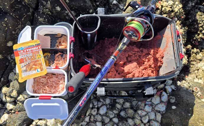 「海の中はまだ夏?」沖磯フカセ釣りでシイラにソーダカツオなど7魚種【西伊豆】