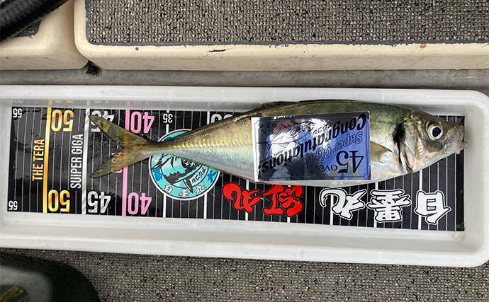 47cmギガアジ堂々浮上!【大阪】DEEPバチコンアジングで大型アジが船中連発