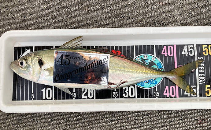 47cmギガアジ堂々浮上!【大阪】DEEPバチコンアジングで大型アジが船中連発