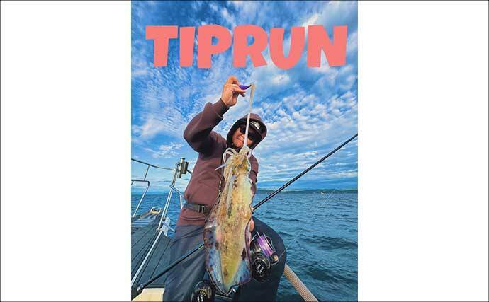 【沖のルアー釣果速報】ティップランでアオリイカ船中23匹!サオ頭は7匹をマーク(三重)