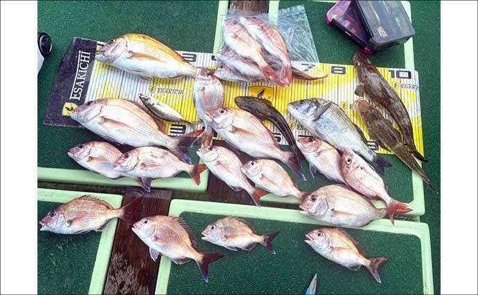 【沖のルアー釣果速報】ティップランでアオリイカ船中23匹!サオ頭は7匹をマーク(三重)