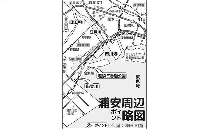 猫実川&塩浜三番瀬公園のハゼ釣りで37尾キャッチ【千葉】16cm超えウロハゼも登場
