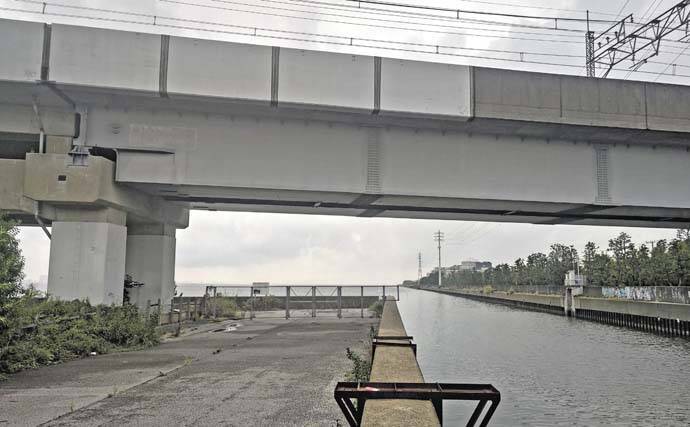 猫実川&塩浜三番瀬公園のハゼ釣りで37尾キャッチ【千葉】16cm超えウロハゼも登場