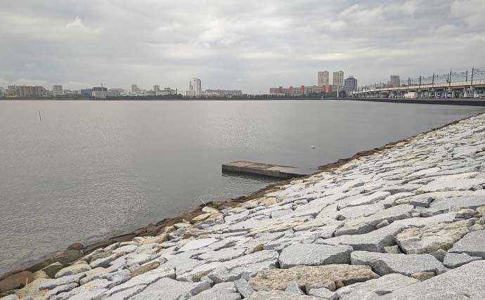 猫実川&塩浜三番瀬公園のハゼ釣りで37尾キャッチ【千葉】16cm超えウロハゼも登場