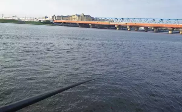 「旧江戸川河口のハゼ釣りで「探って誘って」マハゼ8匹を手中【千葉】速い流れに苦戦」の画像