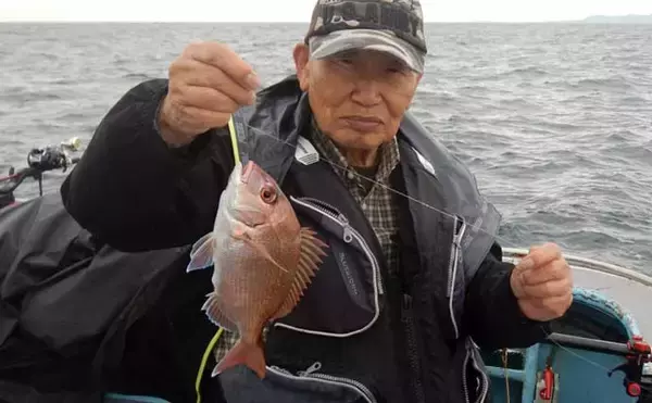 「伊勢湾のウタセマダイ釣りで本命9匹&ハマチ4匹を手中【愛知】ウタセエビの刺し方が釣果のカギ」の画像