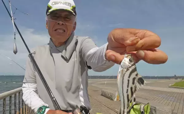 「「内房でのんびり釣り日和」富津みなと公園のちょい投げ釣りでハゼ&セイゴ好調【千葉】」の画像