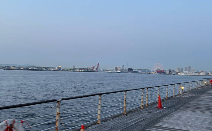 ライトショアジギング超入門(LSJ) 天気と潮回りで魚の釣れやすさが変わるって本当?