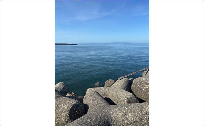 ライトショアジギング超入門(LSJ) 天気と潮回りで魚の釣れやすさが変わるって本当?