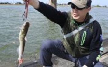 ファミリーフィッシングで手軽に大物釣りたいなら【アメリカナマズ釣りで決まり!】