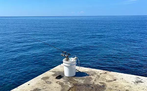 「ヤエン釣りでアオリイカ6杯をキャッチ【茂原人工海水浴場】ゲストに青物もヒット」の画像